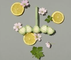 Marcel's Green Soap Toiletblok Geranium & Citroen - 55 Gram -Huishoudelijke Schoonmaak 1200x1023