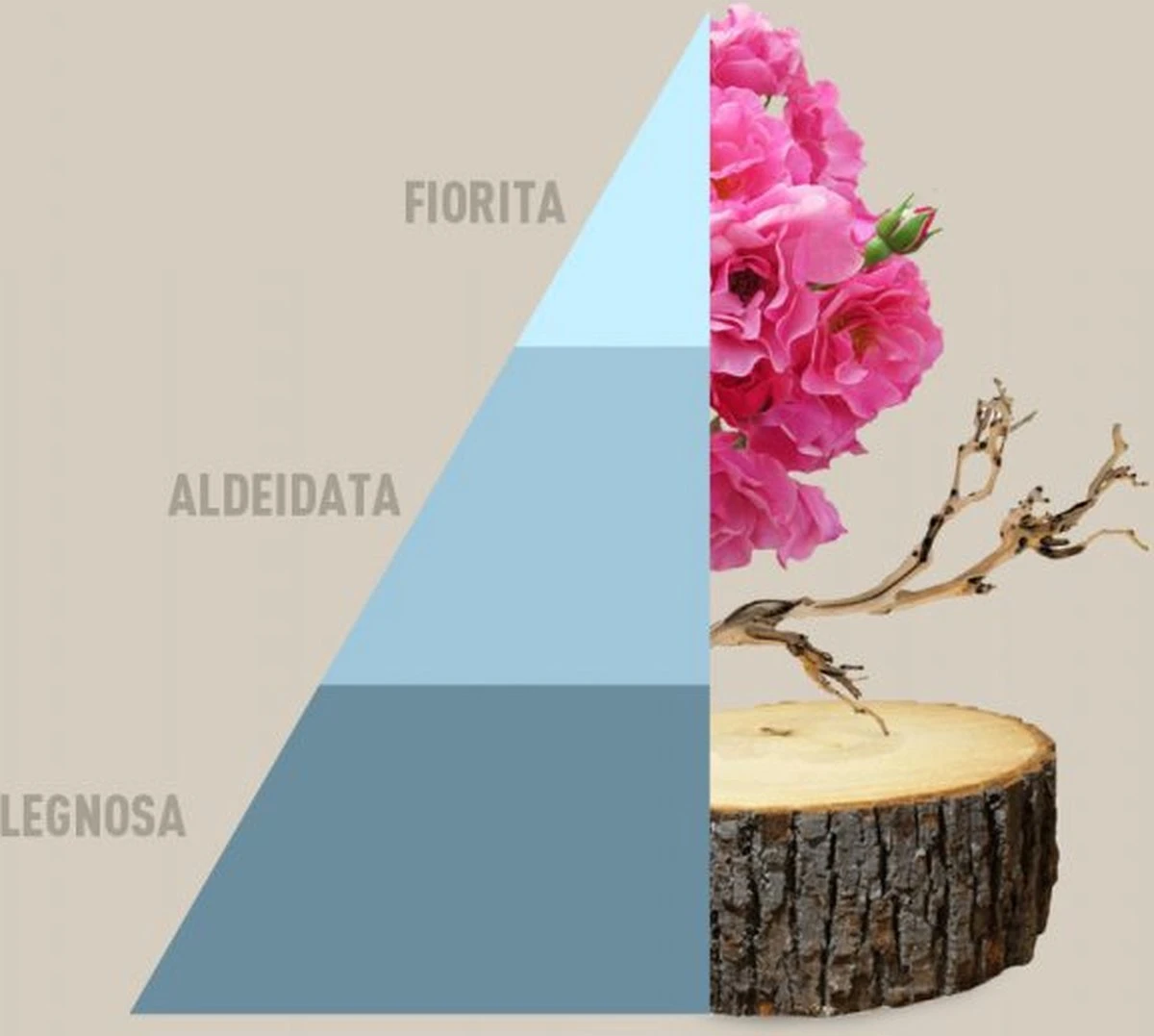 Horomia Wasparfum Fresh Cotton - 250ml 4 Horomia Wasparfum Fresh Cotton - 250ml - Afbeelding 2