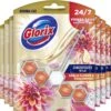 Glorix Aroma Lux Dahlia Flower & Dragonfruit - 9 Toiletblokken - Halfjaarbox - Voordeelverpakking -Huishoudelijke Schoonmaak 1200x1111 4