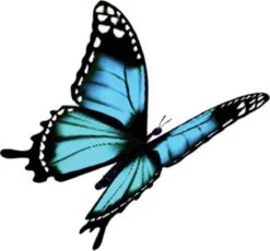 4x Robijn Klein & Krachtig Wasmiddel Black Velvet 1,19 Liter 19 4x Robijn Klein & Krachtig Wasmiddel Black Velvet 1,19 Liter -Huishoudelijke Schoonmaak 1200x1118 2