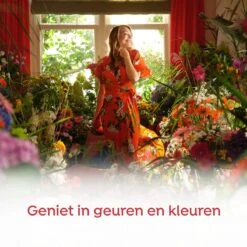 Robijn Color & Passiebloem Wasmiddel En Wasverzachter Pakket - 5 Stuks - Voordeelpakket 17 Robijn Color & Passiebloem Wasmiddel En Wasverzachter Pakket - 5 Stuks - Voordeelpakket -Huishoudelijke Schoonmaak 1200x1200 1122