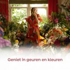 Robijn Klein & Krachtig Zwitsal Vloeibaar Wasmiddel - 2 X 34 Wasbeurten - Voordeelverpakking 17 Robijn Klein & Krachtig Zwitsal Vloeibaar Wasmiddel - 2 X 34 Wasbeurten - Voordeelverpakking -Huishoudelijke Schoonmaak 1200x1200 1126