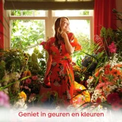 Robijn Klein & Krachtig Color Vloeibaar Wasmiddel - 8 X 20 Wasbeurten - Voordeelverpakking 14 Robijn Klein & Krachtig Color Vloeibaar Wasmiddel - 8 X 20 Wasbeurten - Voordeelverpakking -Huishoudelijke Schoonmaak 1200x1200 1160