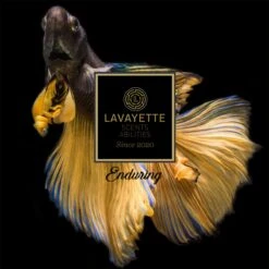 Lavayette Premium Wasparfum - Proefpakket 9x25ml - Geurbooster 18 Lavayette Premium Wasparfum - Proefpakket 9x25ml - Geurbooster -Huishoudelijke Schoonmaak 1200x1200 1397