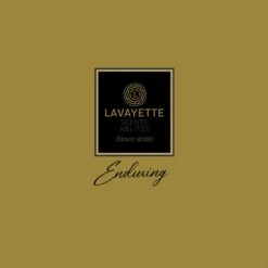 Lavayette Premium Wasparfum - Jasmin Shades - Geurbooster 500ml (Diamante) 12 Lavayette Premium Wasparfum - Jasmin Shades - Geurbooster 500ml (Diamante) -Huishoudelijke Schoonmaak 1200x1200 1422