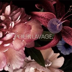 Lavayette Premium Wasparfum - Jasmin Shades - Geurbooster 500ml (Diamante) 14 Lavayette Premium Wasparfum - Jasmin Shades - Geurbooster 500ml (Diamante) -Huishoudelijke Schoonmaak 1200x1200 1424