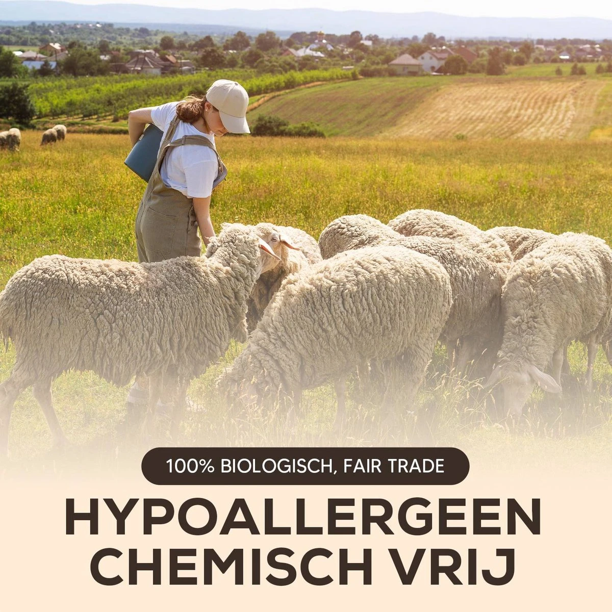 Drogerballen - Droogballen - Wasdrogerballen - Dryerballs - 6 Stuks - XL Formaat - Wol - Set 7 Drogerballen - Droogballen - Wasdrogerballen - Dryerballs - 6 Stuks - XL Formaat - Wol - Set - Afbeelding 5