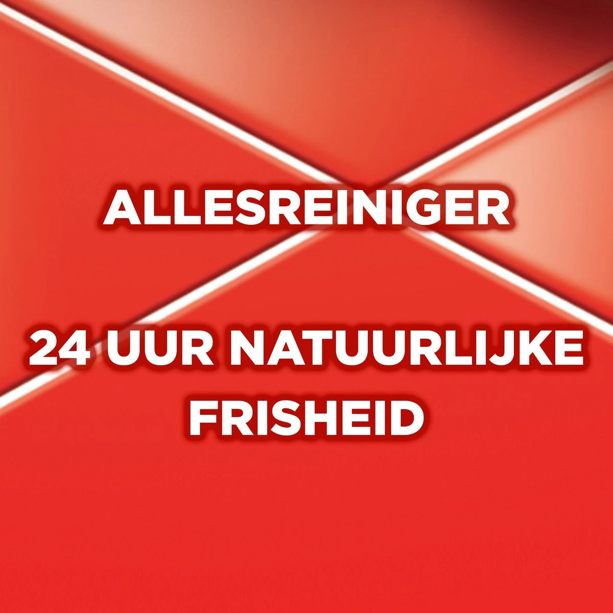 Ajax® Ajax Allesreiniger Fête Des Fleur Rode Bloem 8 X 1L - Voordeelverpakking 5 Ajax® Ajax Allesreiniger Fête Des Fleur Rode Bloem 8 X 1L - Voordeelverpakking - Afbeelding 3