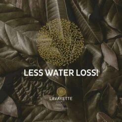 Lavayette XL Drogerballen Met 25ml Wasparfum - WasdrogerBallen – Droogballen – Wasbol – 100% Nieuw-Zeelands Schapenwol – Milieu- En Diervriendelijk – 6 Stuks -Huishoudelijke Schoonmaak 1200x1200 455