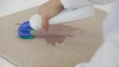 Dr. Beckmann Tapijtvlekkenborstel - Tapijtreiniging - Tapijt Vlekverwijderaar Met Borstel - Schoon Tapijt - Dierenvlekkenverwijderaar 10 Dr. Beckmann Tapijtvlekkenborstel - Tapijtreiniging - Tapijt Vlekverwijderaar Met Borstel - Schoon Tapijt - Dierenvlekkenverwijderaar -Huishoudelijke Schoonmaak 1200x674 1