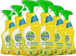 Dettol - Power & Fresh - Allesreinger Spray - Citrus - 6 X 500 Ml -Huishoudelijke Schoonmaak 1200x885