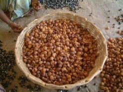 Wasnoten 750gr Met Waszakje - Zeepnoten - Natuurlijk Wassen -Huishoudelijke Schoonmaak 1200x900