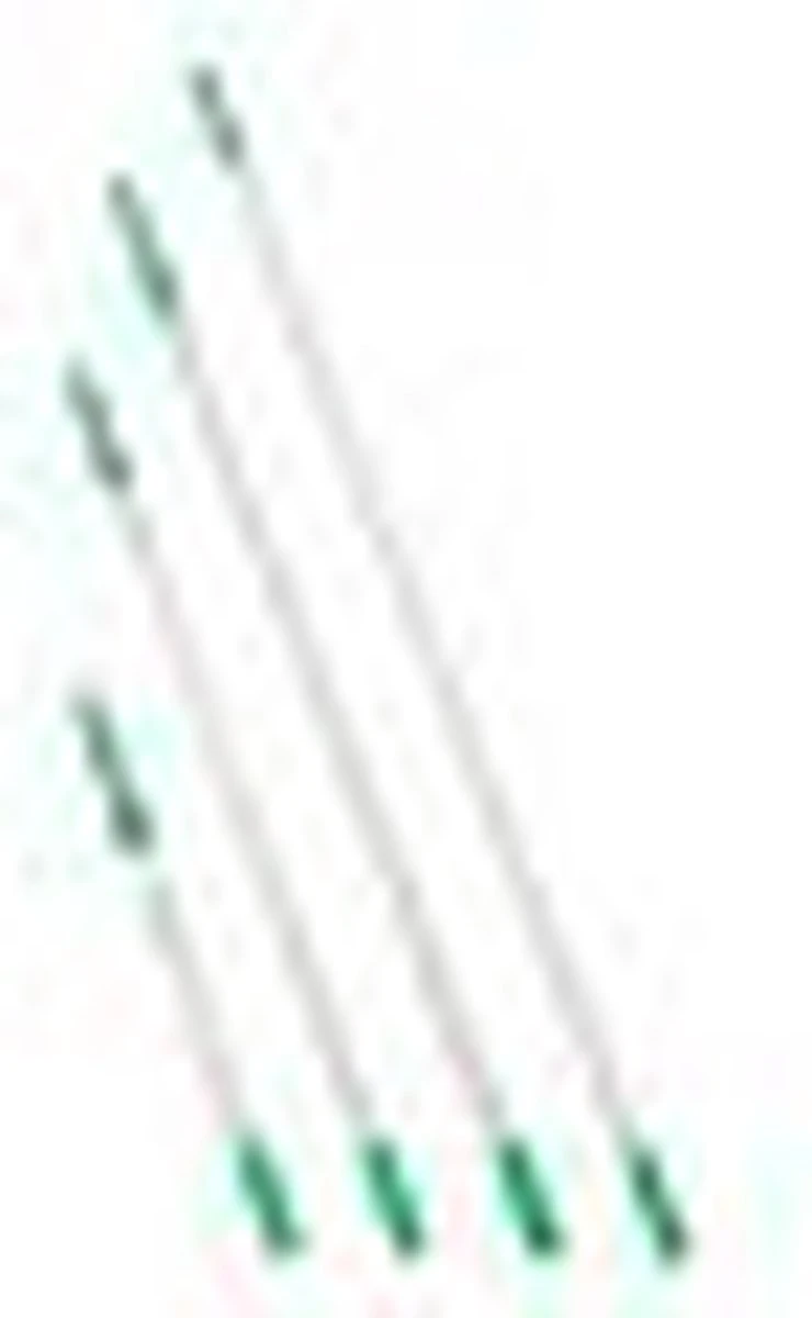 OptiLoc 2-delig 250m 6 OptiLoc 2-delig 250m - Afbeelding 4